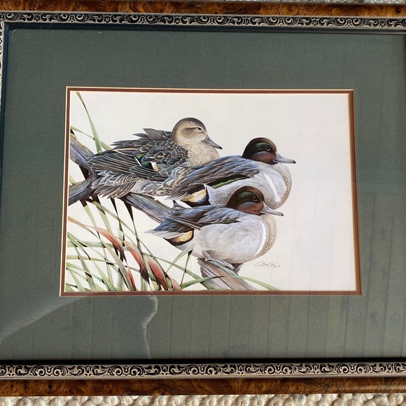 Art La May 3x framed prints with glass: Water Pair, Green Winged, Canvas Back. - Picture 6 of 16